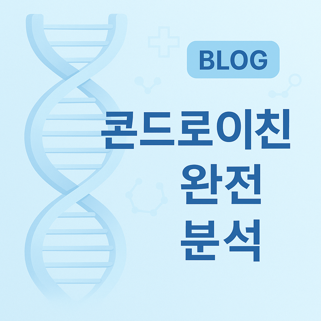 콘드로이친 완전 분석